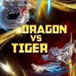 Dragon vs Tiger